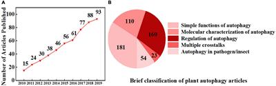 Molecular Mechanisms of Autophagy Regulation in Plants and Their Applications in Agriculture